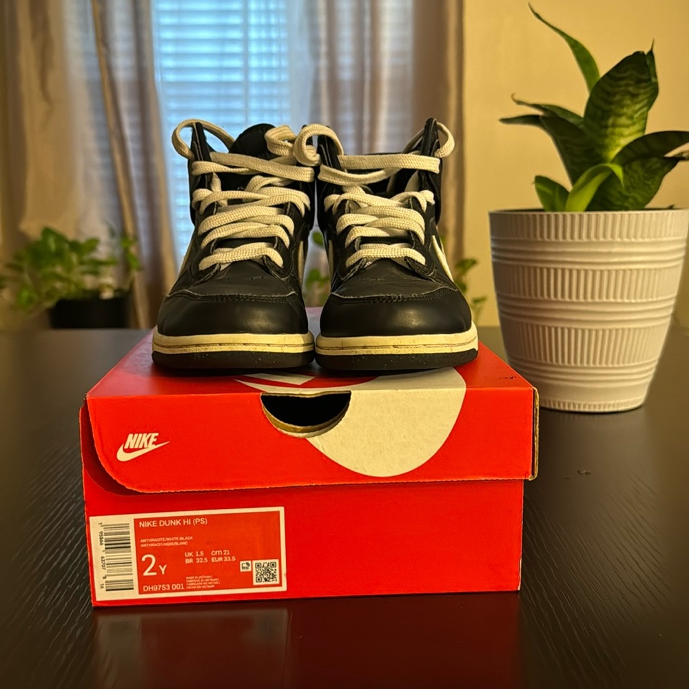 Nike dunk high